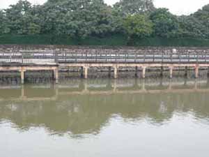 在水一方酒櫻內一境